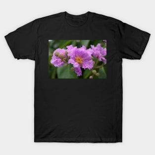 Flowers in Vientiane - Laos T-Shirt